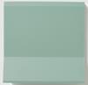Плитка Winckelmans Simple Colors Skirting Par Green Veu 10x10 см, поверхность матовая