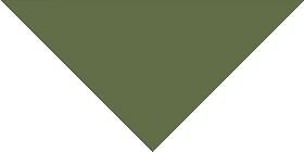 Winckelmans Simple Colors Triangle Tr. 3.5X3.5Х5 Green Veu 2.45x5
