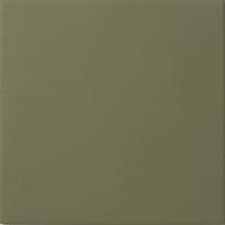 Плитка Winckelmans Simple Colors Cx.15 Green Australian Vea 15x15 см, поверхность матовая