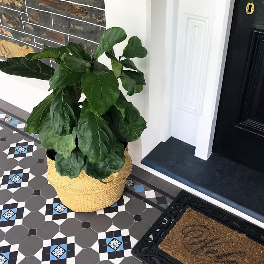 керамогранит фабрики Winckelmans коллекция Simple Colors