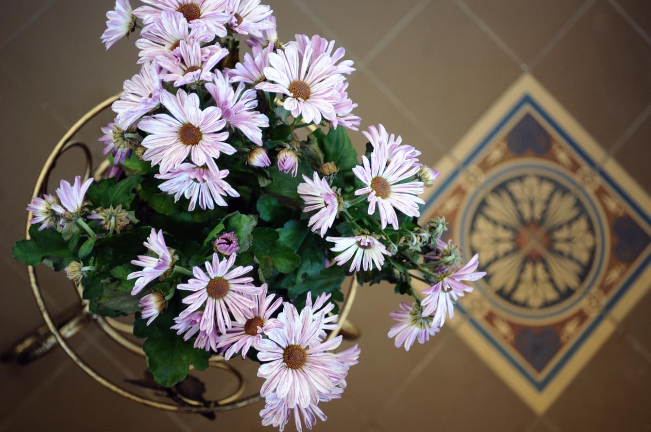 керамогранит фабрики Winckelmans коллекция Simple Colors