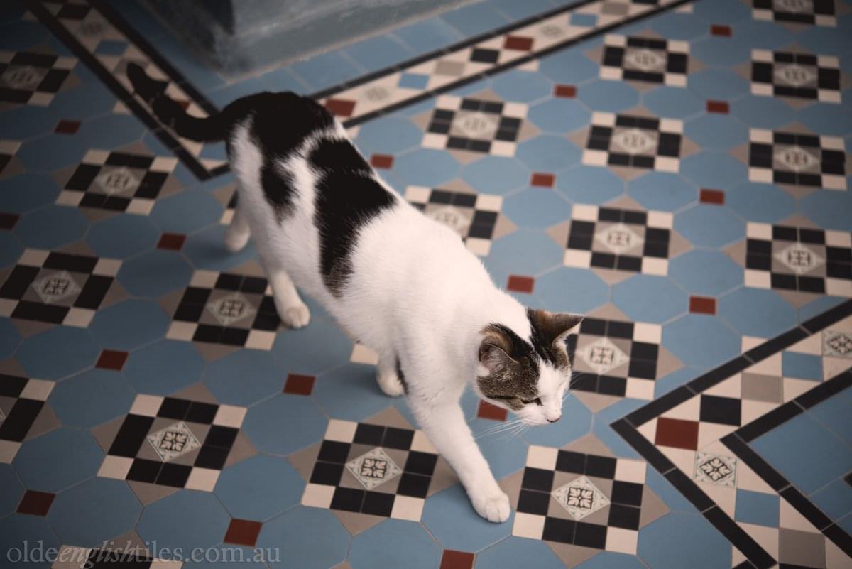 керамогранит фабрики Winckelmans коллекция Simple Colors