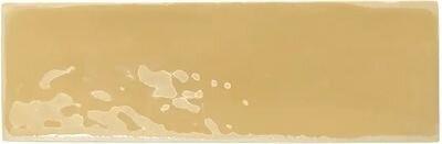 Wow Rebels Mustard Gloss 5x15