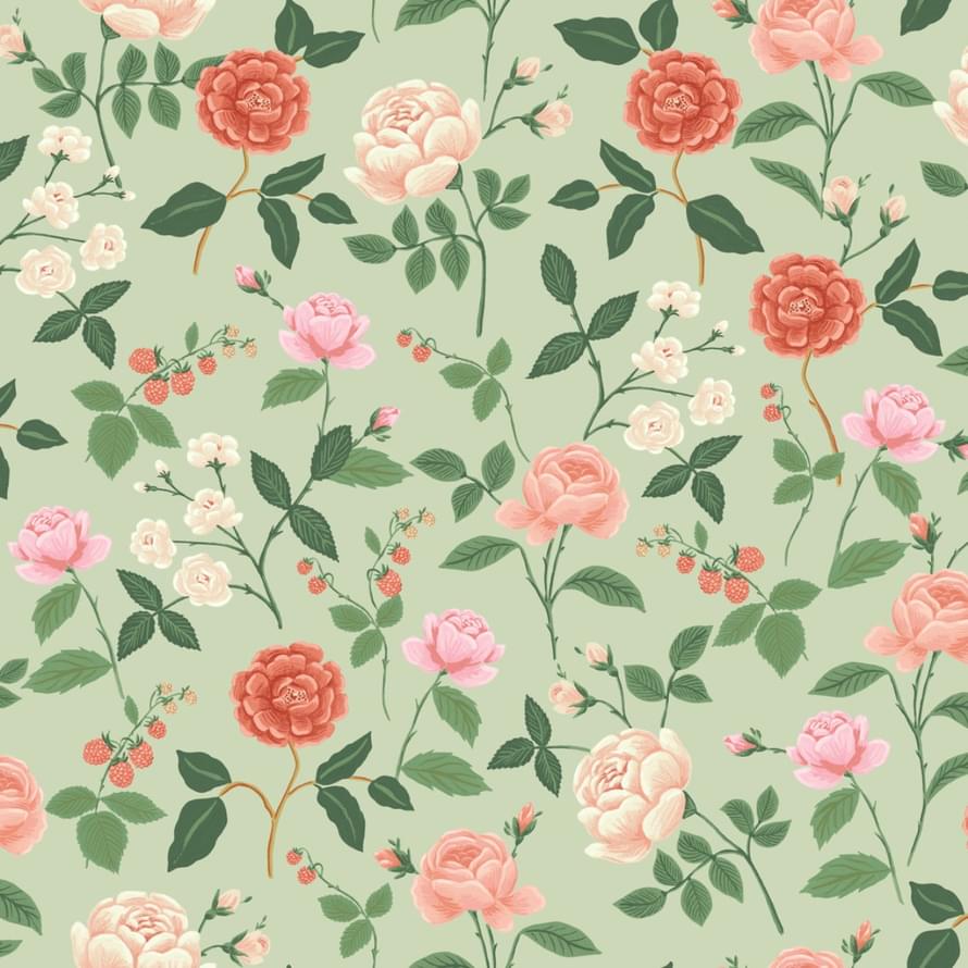 York Rifle Paper 3 RF7545 8.2x68
