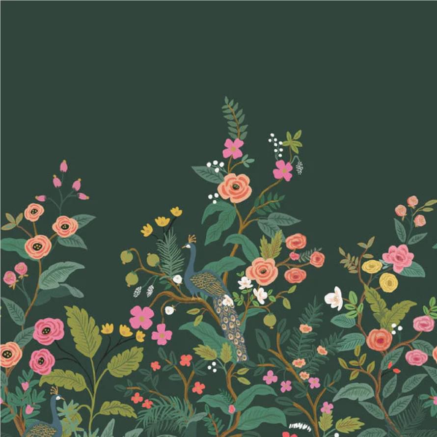 York Rifle Paper 3 RP7398M 3.1x205