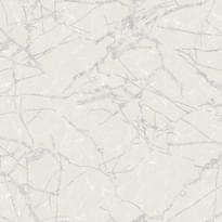 Zambaiti Elie Saab 2 Z34917 10.05м x 106см поверхность матовая