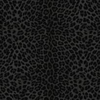 Zambaiti Philipp Plein 2 Z81031 10.05м x 106см поверхность