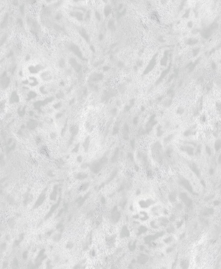 Zambaiti Savana 77548 10.05x53