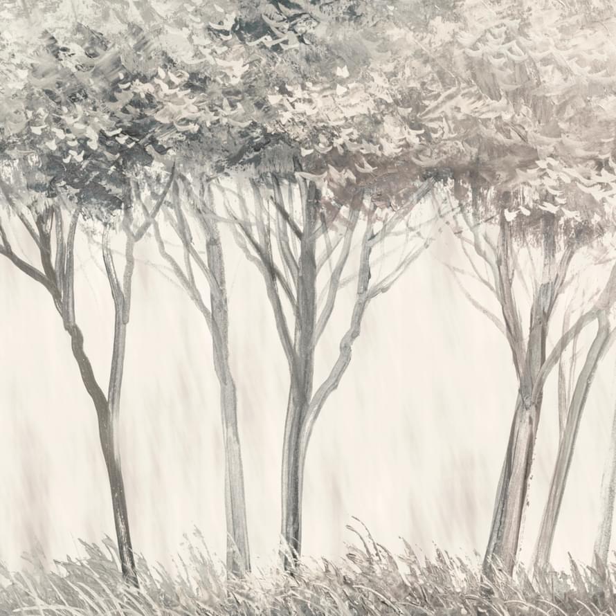 Zambaiti Savana 77559 5.1x300