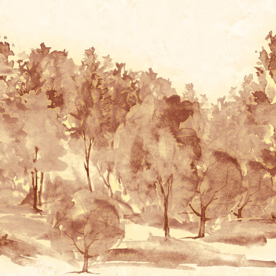 Zambaiti Savana 77563 5.1x300