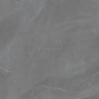 Плитка Zien Grey Pulpis Pol 59.8x59.8 см, поверхность полированная