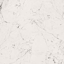Плитка Zien Sophisticated White Polished 59.8x59.8 см, поверхность полированная