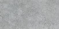 Плитка Zien Terrazzo Grey Mat 59.8x119.8 см, поверхность матовая