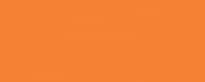 Плитка Керама Марацци Городские Цветы Оранжевый 20x50 см, поверхность матовая
