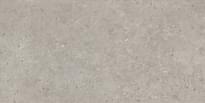 Плитка Керама Марацци Риккарди Серый Светлый Матовый Обрезной 60x119.5 см, поверхность матовая