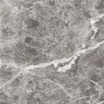 Плитка М Квадрат Имперадор Pr0061 60x60 см, поверхность полированная