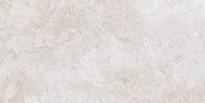 Плитка Тянь-Шань Бианор Светлый Серый 30x60 см, поверхность матовая