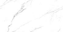 Плитка Тянь-Шань Галатея Белый 30x60 см, поверхность глянец