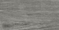 Плитка Тянь-Шань Геро Дерево Серый 30x60 см, поверхность глянец