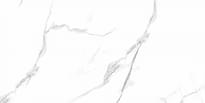 Плитка Тянь-Шань Дамон Белый 30x60 см, поверхность глянец