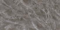 Плитка Тянь-Шань Дамон Серый 30x60 см, поверхность глянец