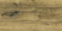 Плитка Тянь-Шань Палинур Палисандр Коричневый 30x60 см, поверхность матовая
